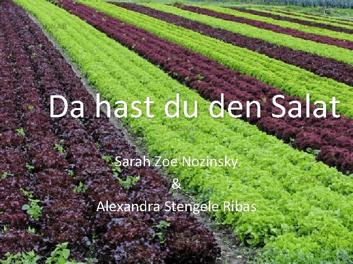 Da hast du den Salat Sarah Zoe Nozinsky & Alexandra Stengele Ribas 