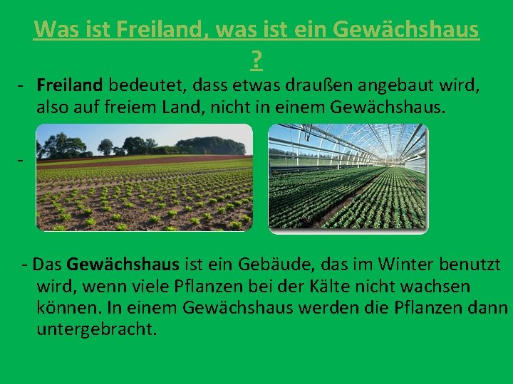 Was ist Freiland, was ist ein Gewächshaus ? - Freiland bedeutet, dass etwas draußen