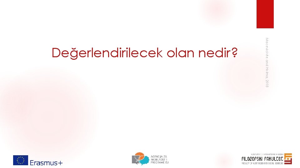 Maceviciute and Holma, 2018 Değerlendirilecek olan nedir? Maceviciute and Holma, 2018 Değerlendirilecek olan nedir?