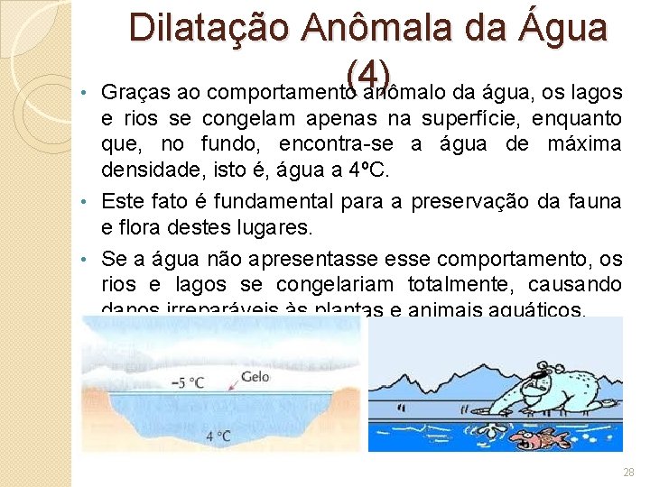  • Dilatação Anômala da Água (4) Graças ao comportamento anômalo da água, os