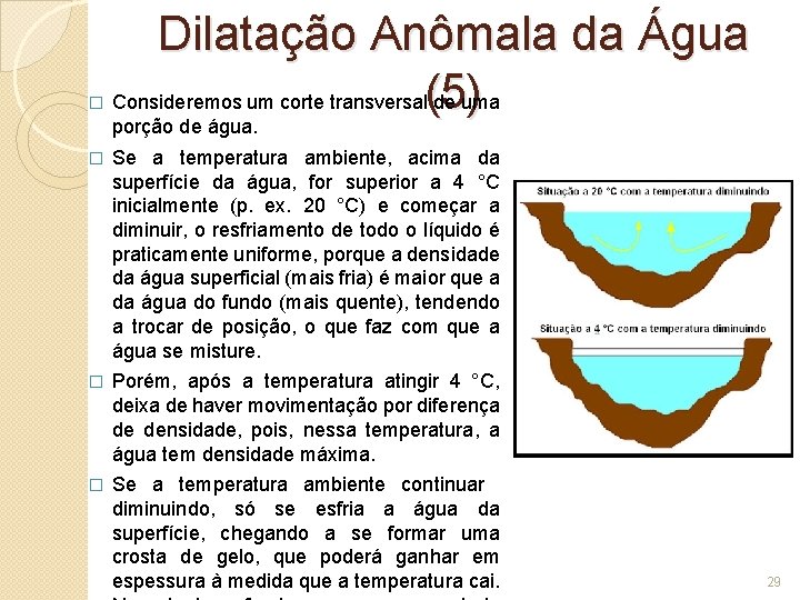 � Dilatação Anômala da Água Consideremos um corte transversal(5) de uma porção de água.