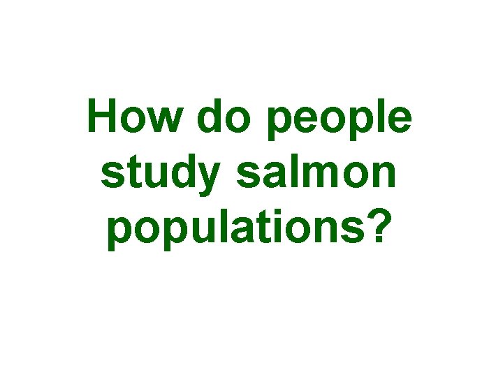 How do people study salmon populations? 
