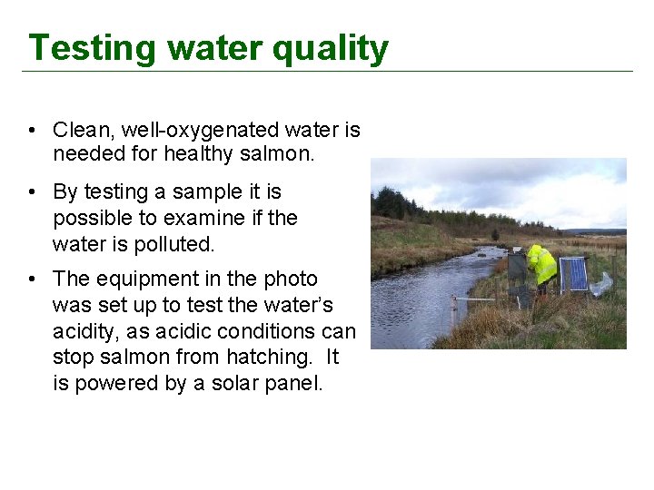 Testing water quality • Clean, well-oxygenated water is needed for healthy salmon. • By