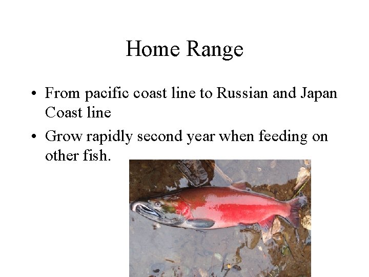 Home Range • From pacific coast line to Russian and Japan Coast line •