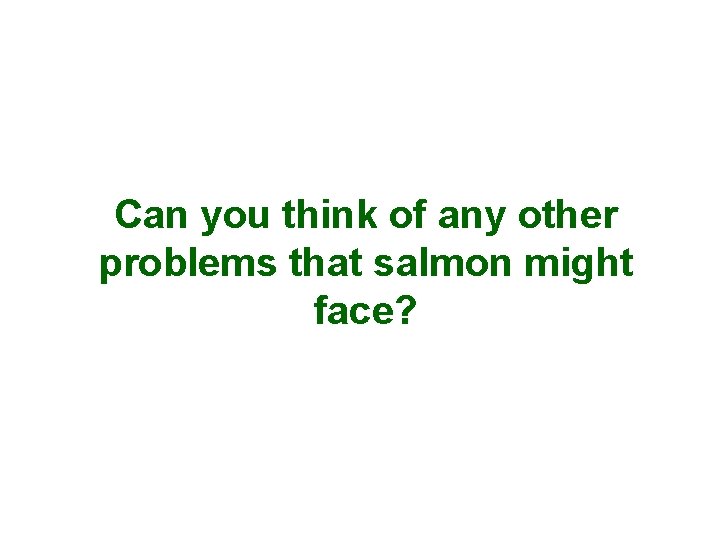 Can you think of any other problems that salmon might face? 