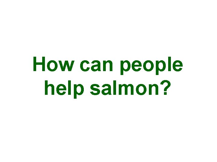 How can people help salmon? 