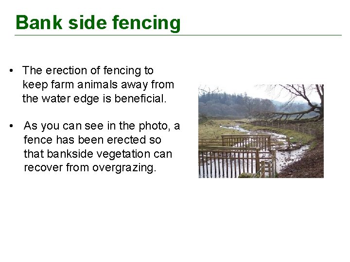 Bank side fencing • The erection of fencing to keep farm animals away from