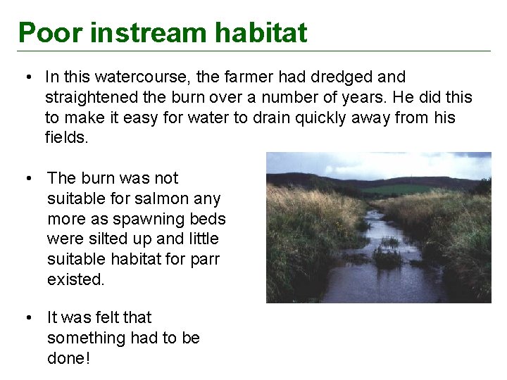 Poor instream habitat • In this watercourse, the farmer had dredged and straightened the