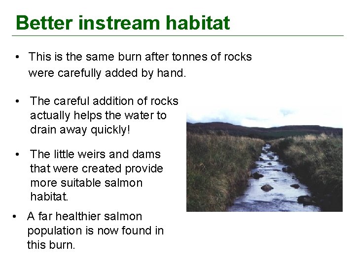 Better instream habitat • This is the same burn after tonnes of rocks were