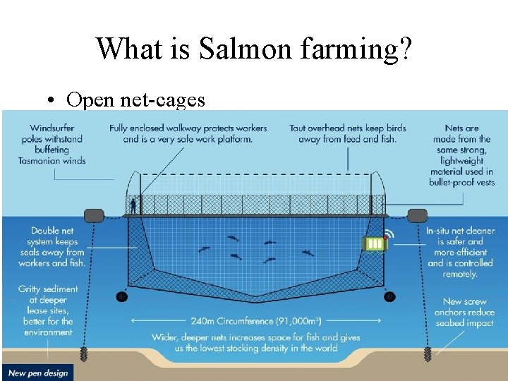 What is Salmon farming? • Open net-cages 