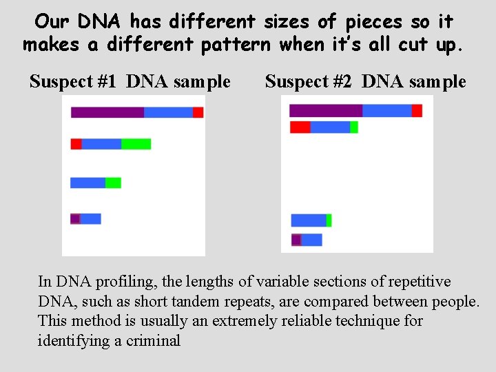 Our DNA has different sizes of pieces so it makes a different pattern when