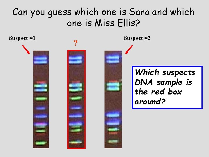 Can you guess which one is Sara and which one is Miss Ellis? Suspect