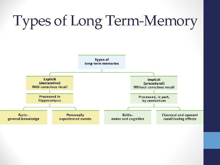 Types of Long Term-Memory 