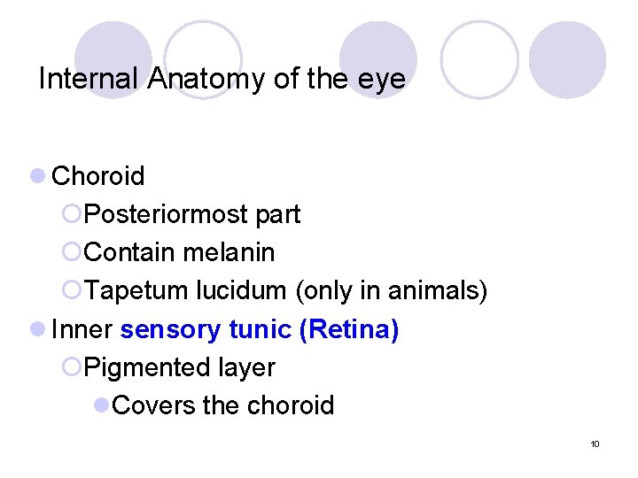 Internal Anatomy of the eye l Choroid ¡Posteriormost part ¡Contain melanin ¡Tapetum lucidum (only