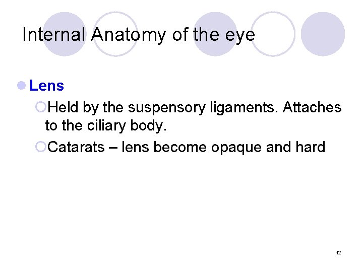 Internal Anatomy of the eye l Lens ¡Held by the suspensory ligaments. Attaches to