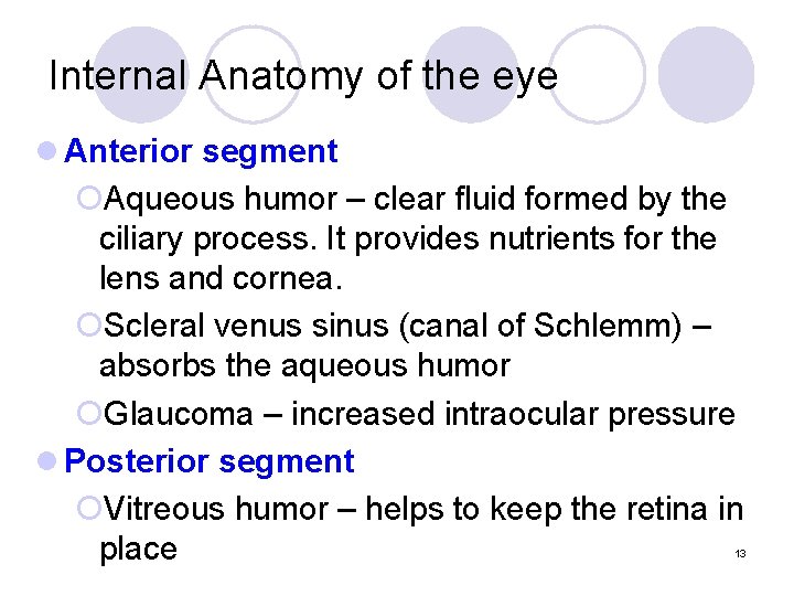 Internal Anatomy of the eye l Anterior segment ¡Aqueous humor – clear fluid formed