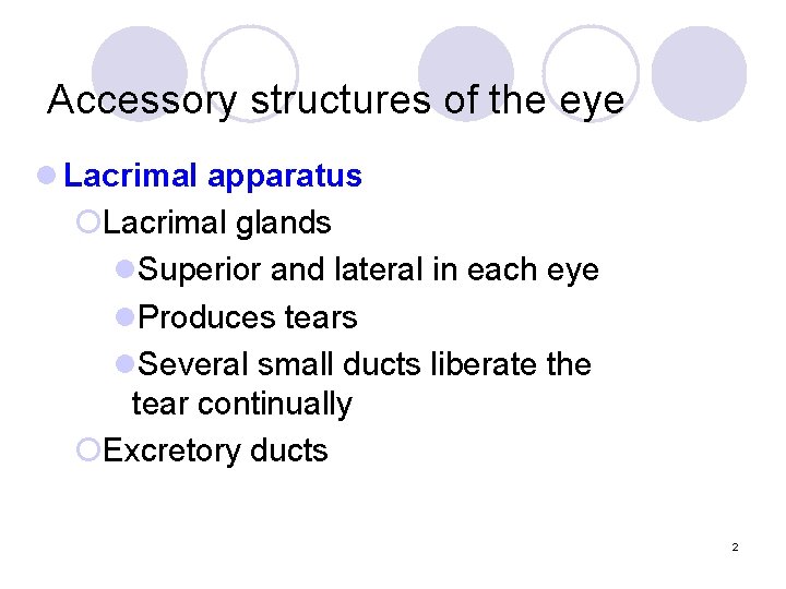 Accessory structures of the eye l Lacrimal apparatus ¡Lacrimal glands l. Superior and lateral