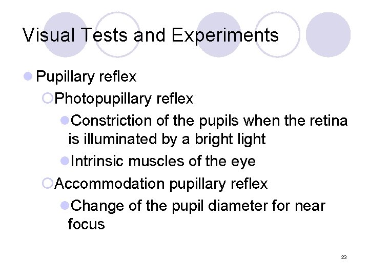 Visual Tests and Experiments l Pupillary reflex ¡Photopupillary reflex l. Constriction of the pupils