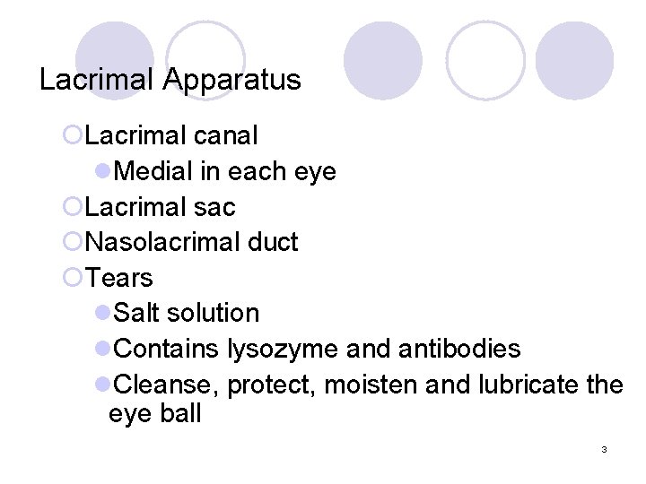 Lacrimal Apparatus ¡Lacrimal canal l. Medial in each eye ¡Lacrimal sac ¡Nasolacrimal duct ¡Tears