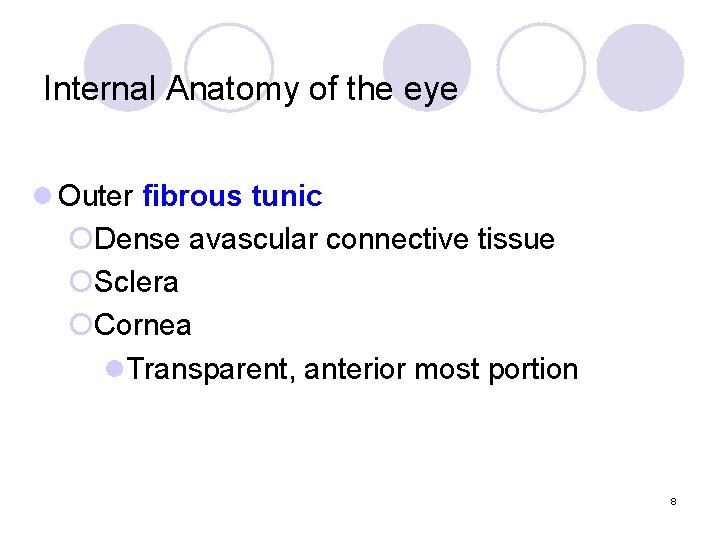 Internal Anatomy of the eye l Outer fibrous tunic ¡Dense avascular connective tissue ¡Sclera