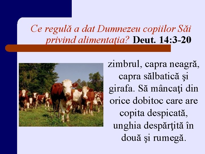 Ce regulă a dat Dumnezeu copiilor Săi privind alimentaţia? Deut. 14: 3 -20 zimbrul,