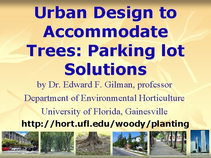 Urban Design to Accommodate Trees: Parking lot Solutions by Dr. Edward F. Gilman, professor