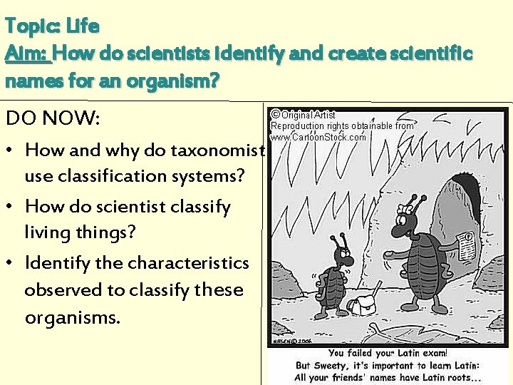 Topic: Life Aim: How do scientists identify and create scientific names for an organism?