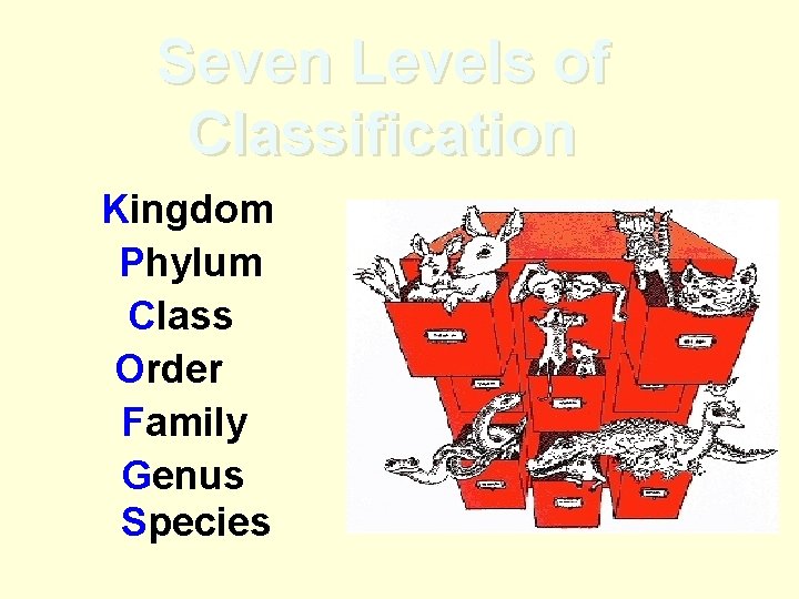 Seven Levels of Classification Kingdom Phylum Class Order Family Genus Species 