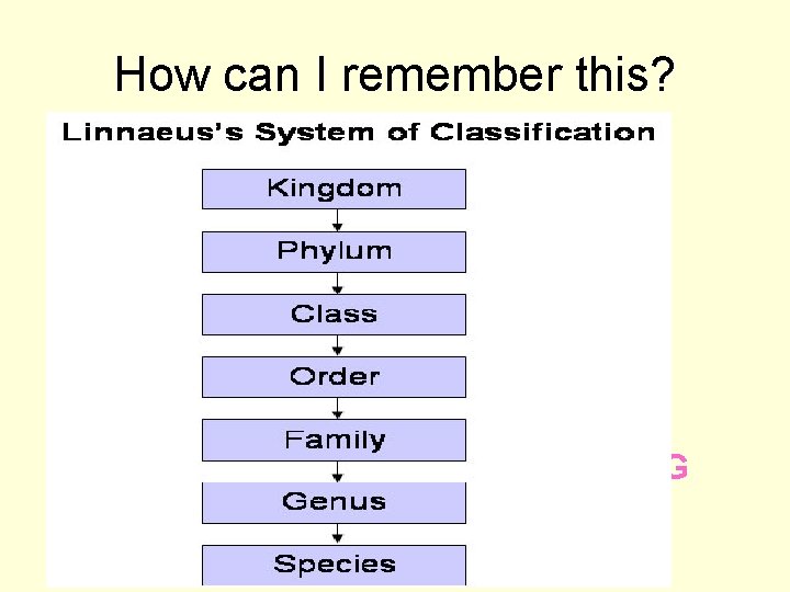 How can I remember this? • • Kingdom Phylum Class Order Family Genus Species