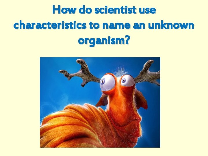 How do scientist use characteristics to name an unknown organism? 