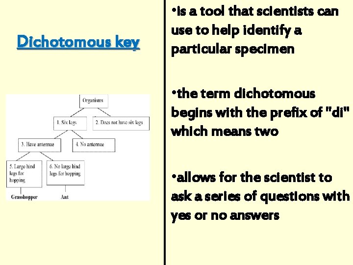 Dichotomous key • is a tool that scientists can use to help identify a