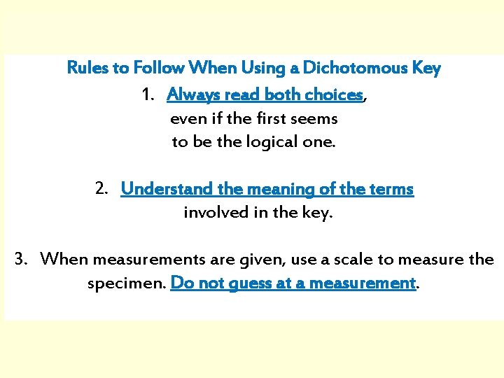 Rules to Follow When Using a Dichotomous Key 1. Always read both choices, even