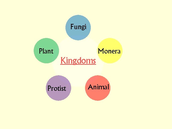 Fungi Plant Monera Kingdoms Protist Animal 