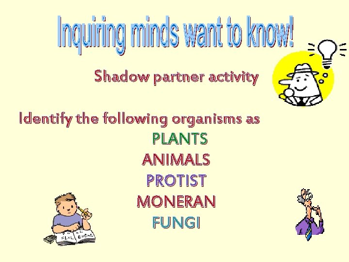 Shadow partner activity Identify the following organisms as PLANTS ANIMALS PROTIST MONERAN FUNGI 