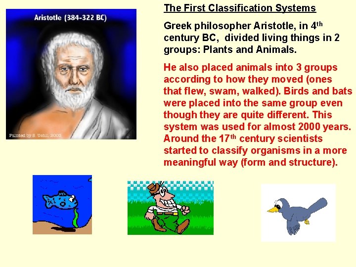 The First Classification Systems Greek philosopher Aristotle, in 4 th century BC, divided living