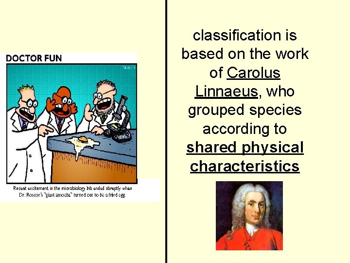 classification is based on the work of Carolus Linnaeus, who grouped species according to