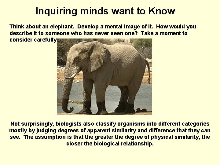 Inquiring minds want to Know Think about an elephant. Develop a mental image of