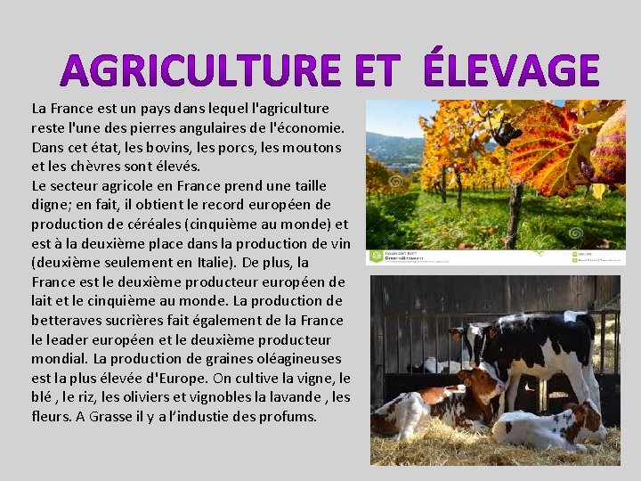 La France est un pays dans lequel l'agriculture reste l'une des pierres angulaires de