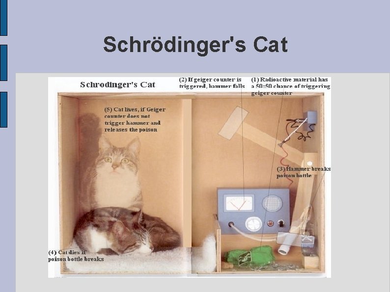 Schrödinger's Cat 