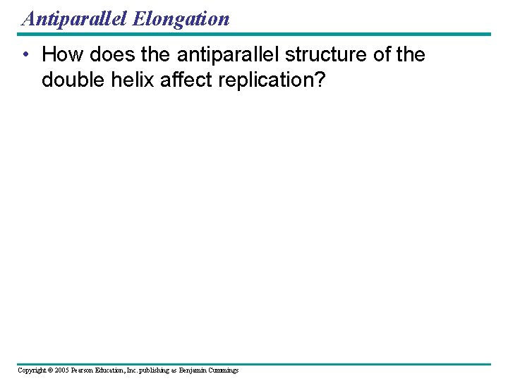 Antiparallel Elongation • How does the antiparallel structure of the double helix affect replication?
