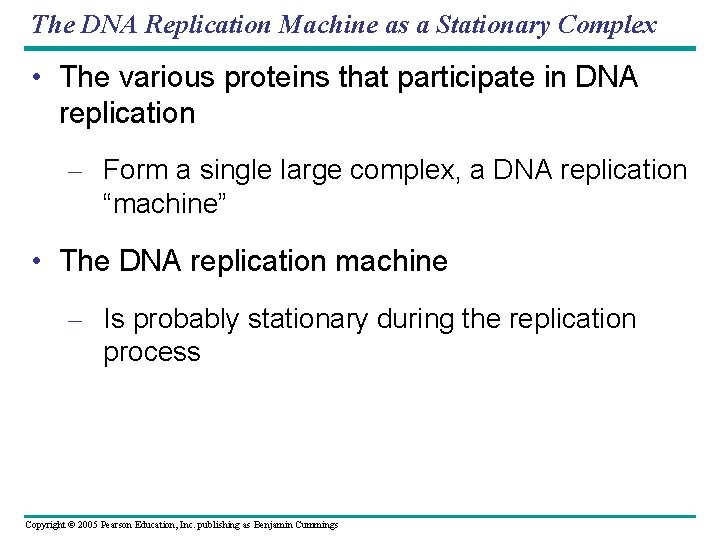 The DNA Replication Machine as a Stationary Complex • The various proteins that participate