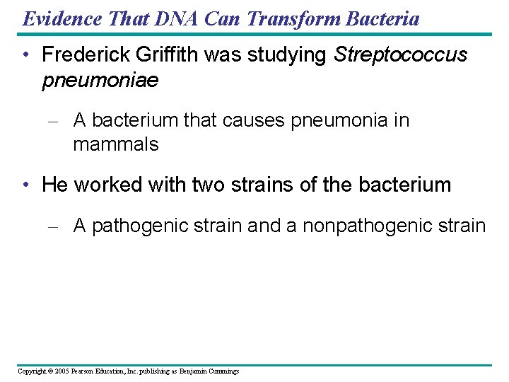 Evidence That DNA Can Transform Bacteria • Frederick Griffith was studying Streptococcus pneumoniae –