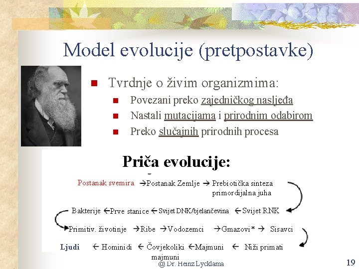 Model evolucije (pretpostavke) Tvrdnje o živim organizmima: Povezani preko zajedničkog nasljeđa Nastali mutacijama i
