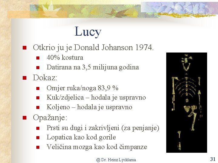 Lucy Otkrio ju je Donald Johanson 1974. Dokaz: 40% kostura Datirana na 3, 5