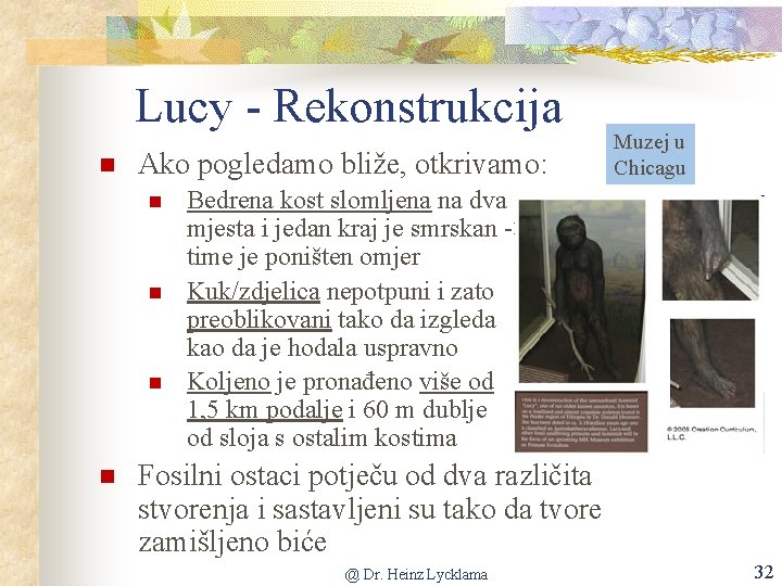 Lucy - Rekonstrukcija Ako pogledamo bliže, otkrivamo: Muzej u Chicagu Bedrena kost slomljena na