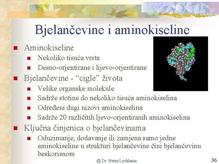 Bjelančevine i aminokiseline Aminokiseline Bjelančevine - “cigle” života Nekoliko tisuća vrsta Desno-orjentirane i lijevo-orjentirane