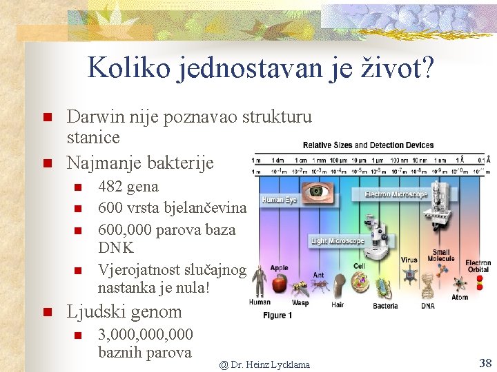 Koliko jednostavan je život? Darwin nije poznavao strukturu stanice Najmanje bakterije 482 gena 600