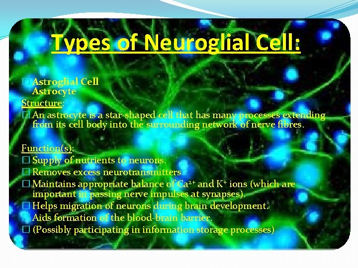 Types of Neuroglial Cell: � Astroglial Cell Astrocyte Structure: � An astrocyte is a