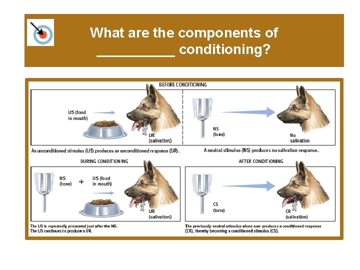 What are the components of _____ conditioning? 