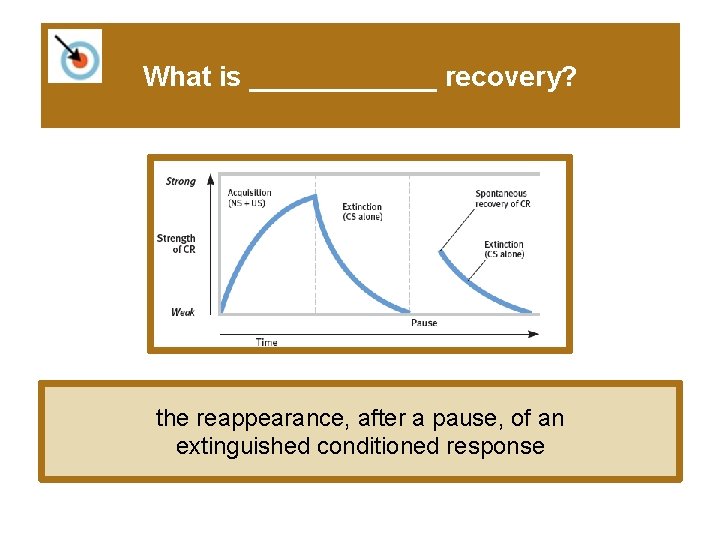 What is ______ recovery? the reappearance, after a pause, of an extinguished conditioned response